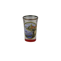 KUPICA ÜVEG HOSSZÚ SZÍNES-M