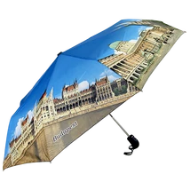 ESERNYŐ PARLAMENTES AUTOMATA