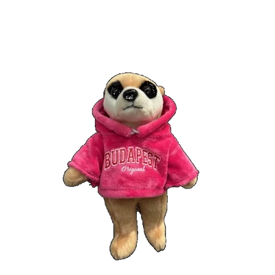 Szurikáta pulcsiban