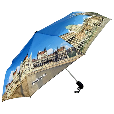 ESERNYŐ PARLAMENTES AUTOMATA